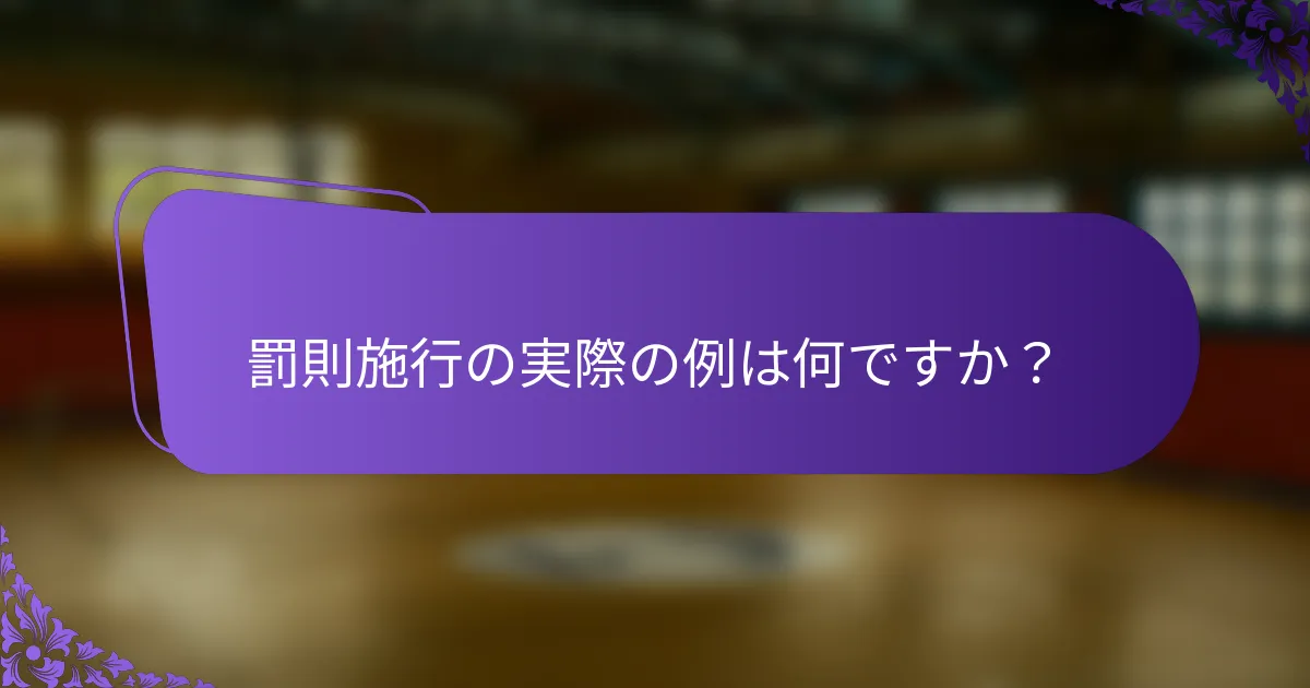 罰則施行の実際の例は何ですか？