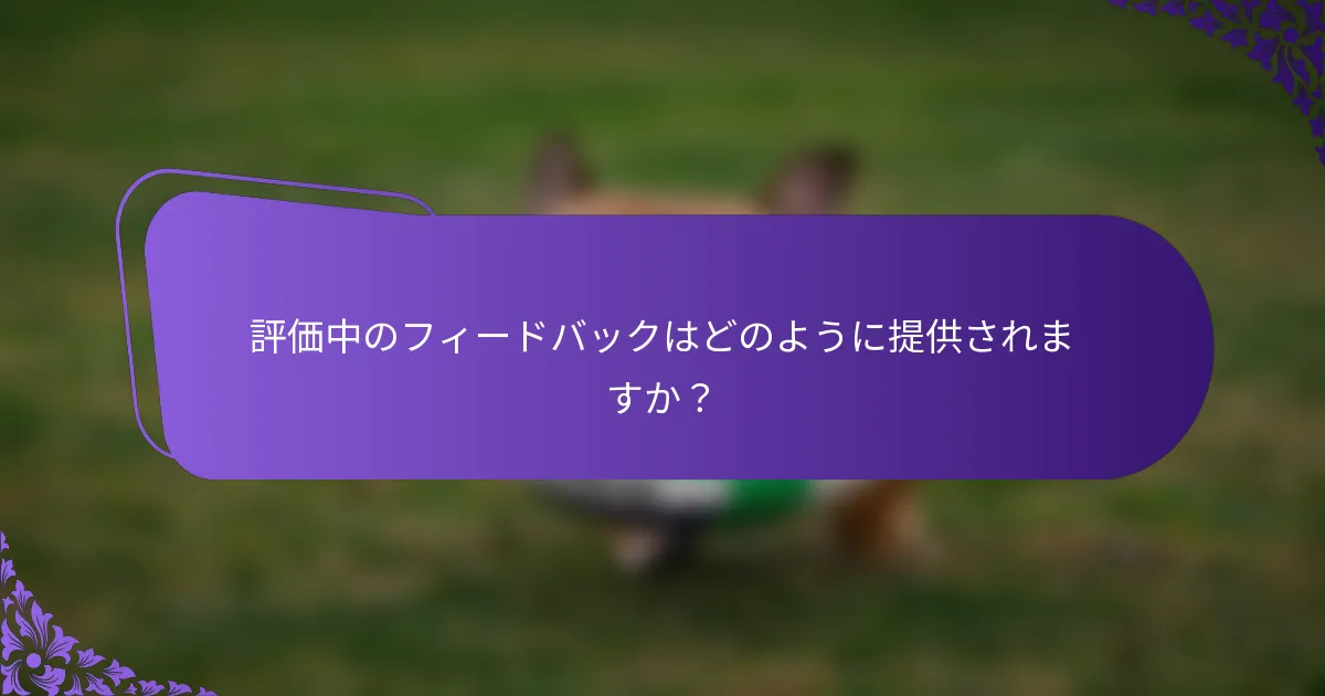 評価中のフィードバックはどのように提供されますか？