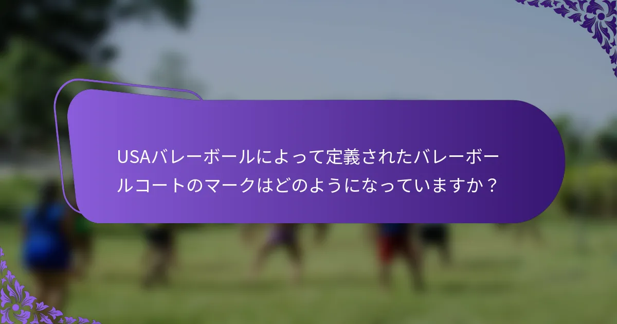 USAバレーボールによって定義されたバレーボールコートのマークはどのようになっていますか？